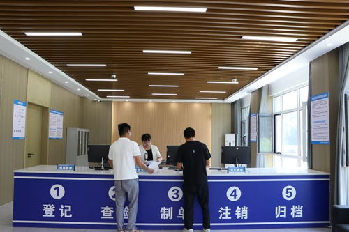 單縣北外環大型報廢機動車與舊家電拆解 廢棄電器電子產品處理廠掠影